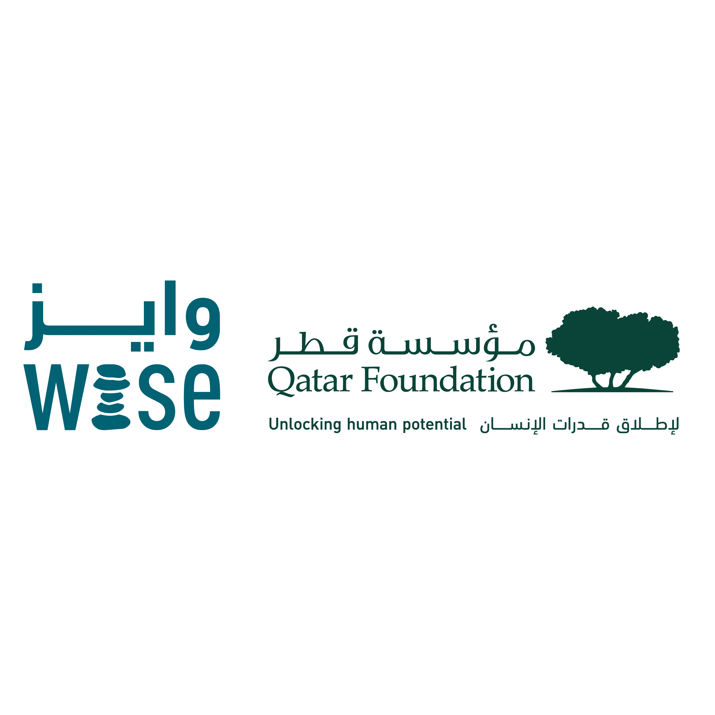 World Innovations Summit For Education (WISE) Award