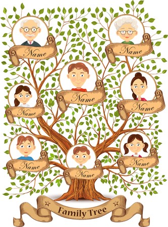 شجرة العائلة للاطفال